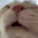 Drink emote