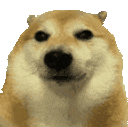 DawgGiggles animated emote