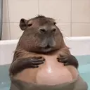 sitting emote