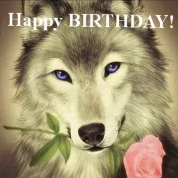 happy_birthday emote