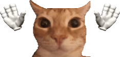 caught emote