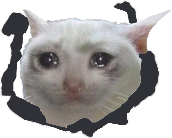 crying_cat emote