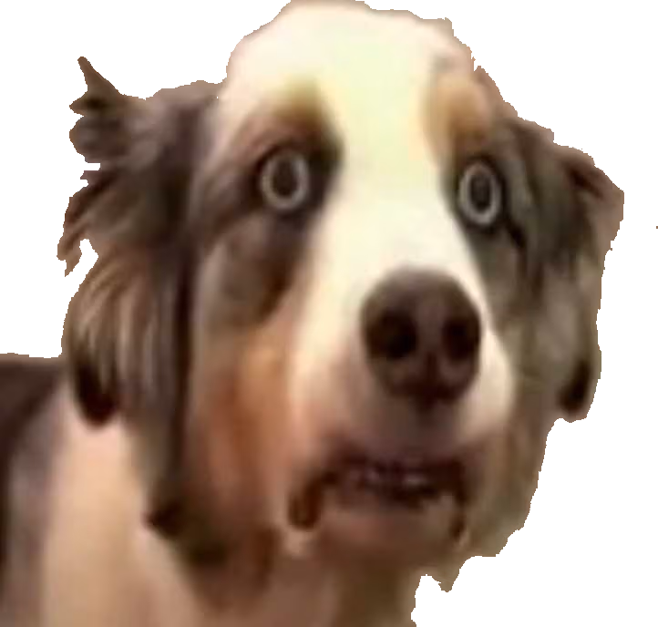 notagain emote
