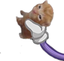 RobertPass emote