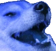 BlurpleKek emote