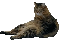 Chompster emote
