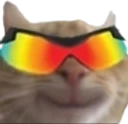 WickedCat emote