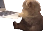 Maximilian emote