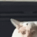 BrorEblan animated emote
