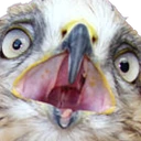 falconwtf emote