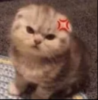 kitty_mad emote