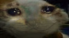 xddsad emote