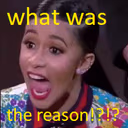 what_was_the_reason emote