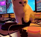katt emoji