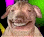 creatureDisco emote