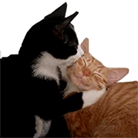catkiss emoji