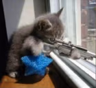 snipercat emote