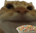swagnom emoji