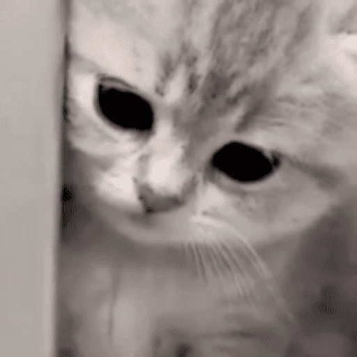cute emote