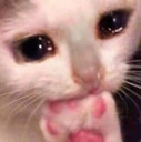pain emote