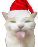Christmas2022_BLEHHHHH_Cat emote