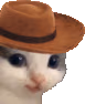 Meowdy emote