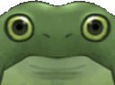 frogeblink animated emote