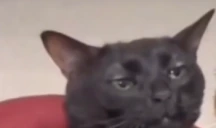 Despair emote