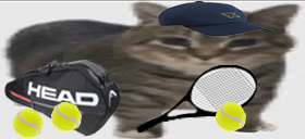 tenisik static emote