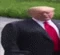 WideTrump emote