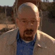 walterShocked emoji