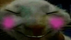 xddshy emote