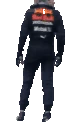 verstappenSmash emote