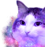 kiisu_galaxy emote