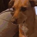 grrrrr emote