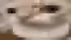 Bitrateuuh emote