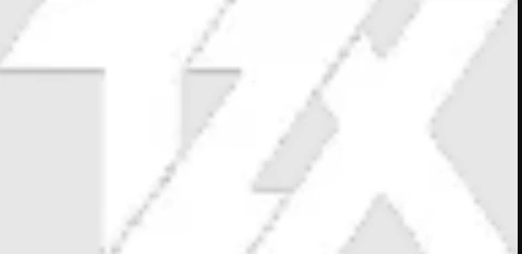 tzx emote