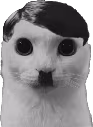 Ktler emote
