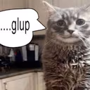 glup emote