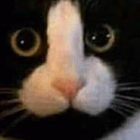 MEOW emote
