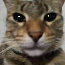 hijosdeputa emote