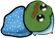 pepeLostBlanket emote