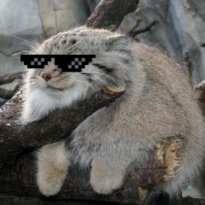 thisiskindacrap avatar
