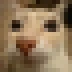 miniOtag emote