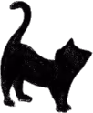 black_cat emote