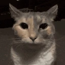 BROH animated emote