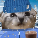 smow emote