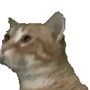 yoshiJAM emote