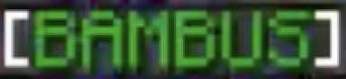 BAMBUS static emote