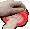 PETTHESHROOM animated emote